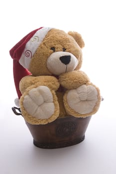 Giant christmas teddy bear sitting in a pot