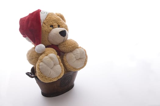 Giant christmas teddy bear sitting in a pot