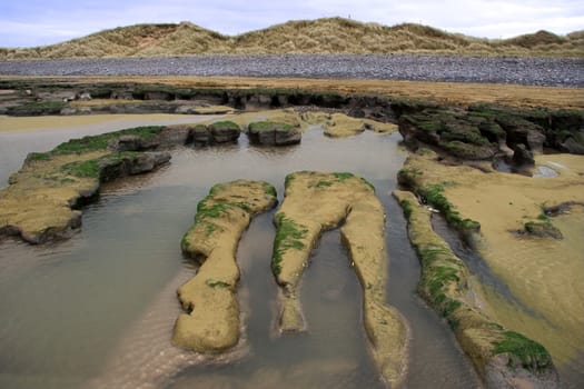 mud banks on the west coast of ireland near ballybunion