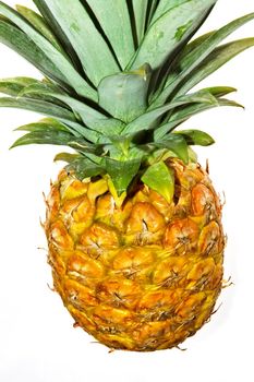 Pineapple on white background