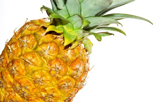 Pineapple on white background