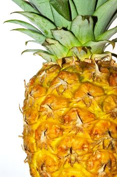 Pineapple on white background