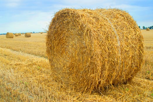 Field with straw bales