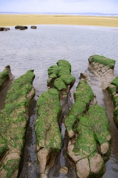 mud banks on the west coast of ireland near ballybunion