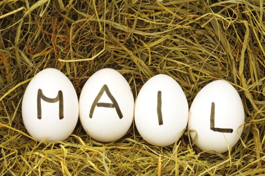 mail or email internet concept with eggs on hey or strew