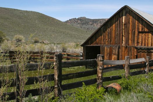 Taken in the Sierras - a rustic, old, abandoned barn rich with old wood and overgrown grass.