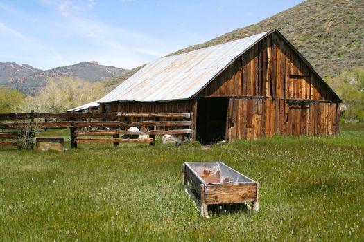 Taken in the Sierras - a rustic, old, abandoned barn rich with old wood and overgrown grass.