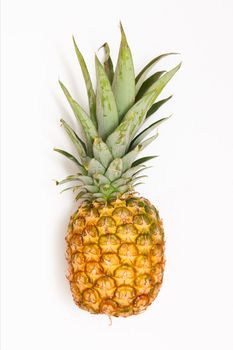  	Pineapple fruit