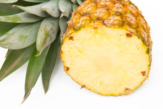 Pineapple fruit