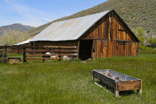 Taken in the Sierras - a rustic, old, abandoned barn rich with old wood and overgrown grass.