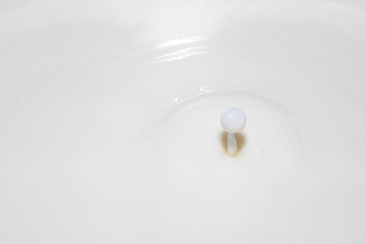 drop of milk splashes into fresh milk