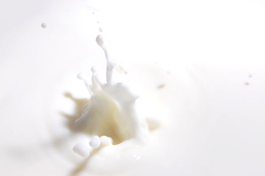 drops of milk splashing in fresh milk