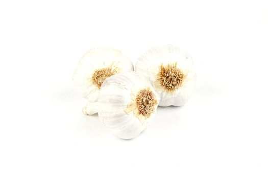White raw garlic bulbs on a reflective white background