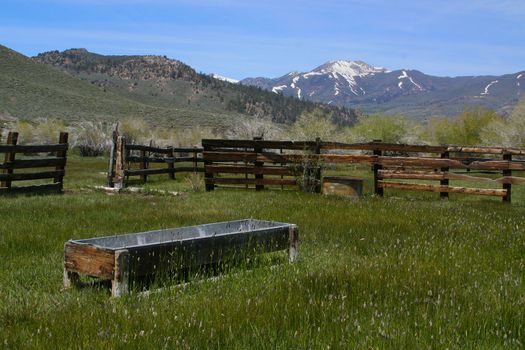 Taken in the Sierras - a rustic, old, abandoned barn rich with old wood and overgrown grass.