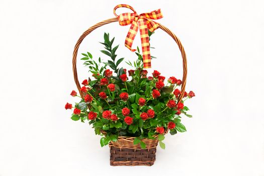 Basket of roses