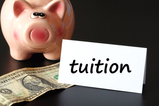 education tuition concept with piggy bank on black background