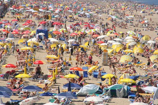 Crowded beach in summer in Holland