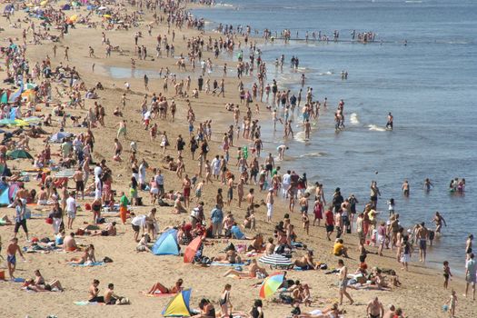 Crowded beach in summer in Holland