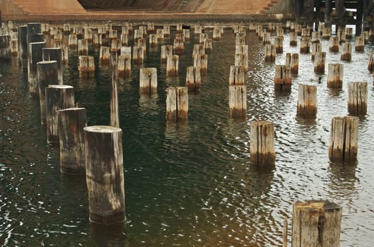 Abandoned Pier Remains