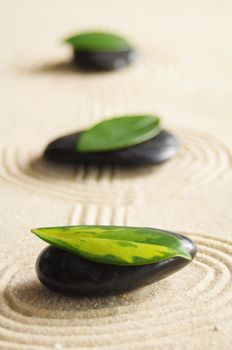 zen still life with sand and green leaf showing wellness concept