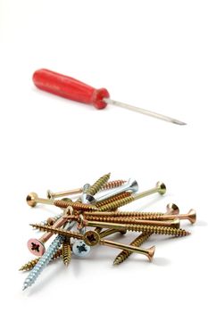 screwdriver and some screws isolated on white background