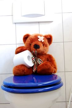 toy teddy bear with paper in the bathroom on toilet
