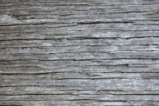 texture of old wood can be used as background
