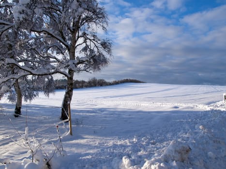 Beautiful winter fields covered with snow landscape background