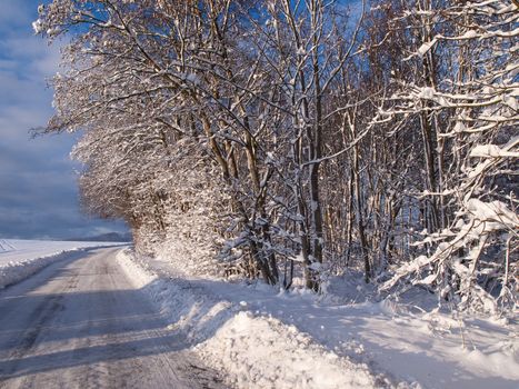 Winterperfect background image road with snow and trees