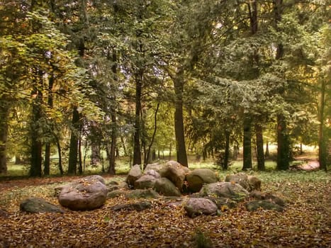 the stones in the park during autumn
