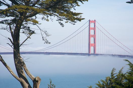 The Golden Gate Bridge in the early morning fog. San Francisco, California, United States.