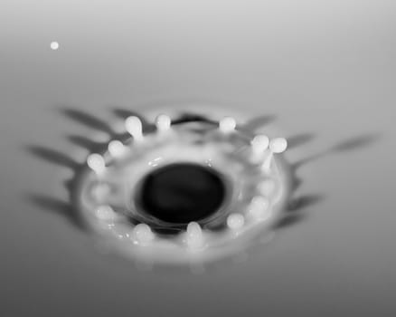 Abstract photos of milk droplets falling and captured on impact