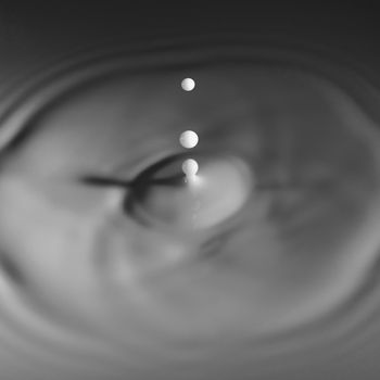 Abstract photos of milk droplets falling and captured on impact