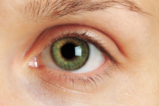 Macro photo of a green eye
