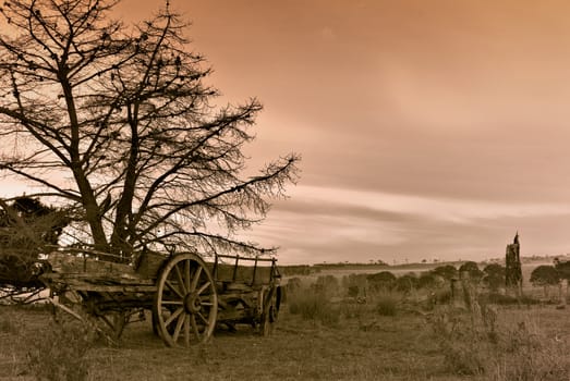duotone image an old cart in a farm in front of dead tree 