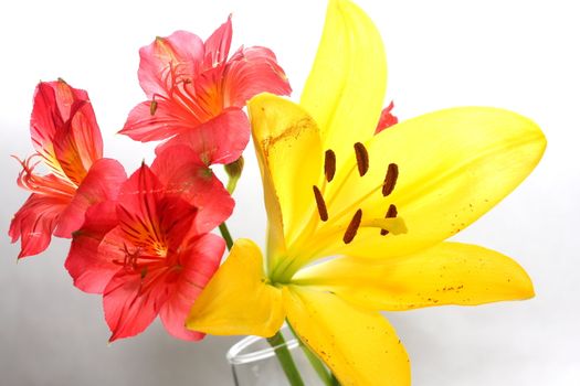 Bouquet of assorted lilies in a vase.