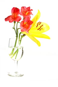 Bouquet of assorted lilies in a vase.