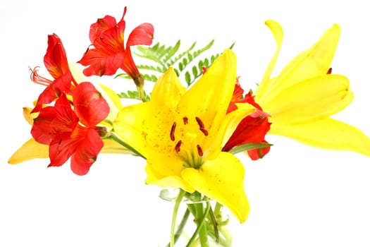 Bouquet of assorted lilies in a vase.
