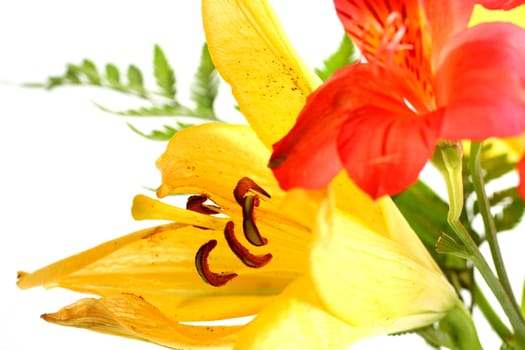 Bouquet of assorted lilies in a vase.