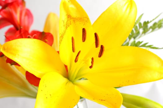 Bouquet of assorted lilies in a vase.