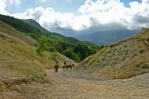 Crimea flora in Demergy mountain