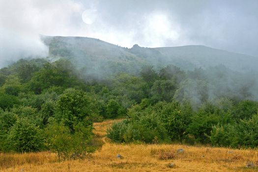 Crimea flora in Demergy mountain