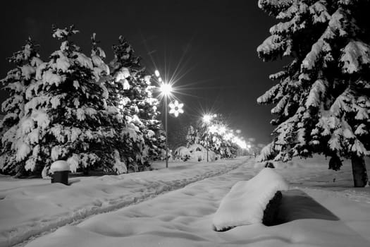 snowy night czech city Havirov with trees and bench