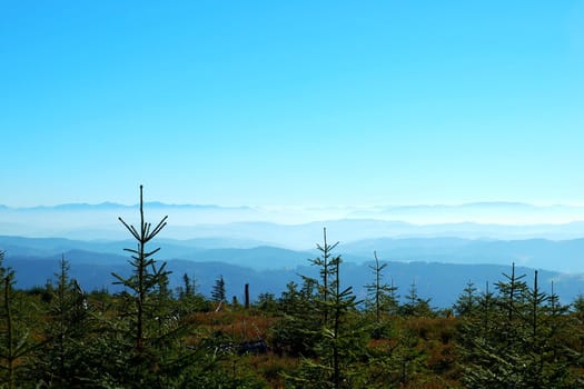 view  at the mountain covered by cloud