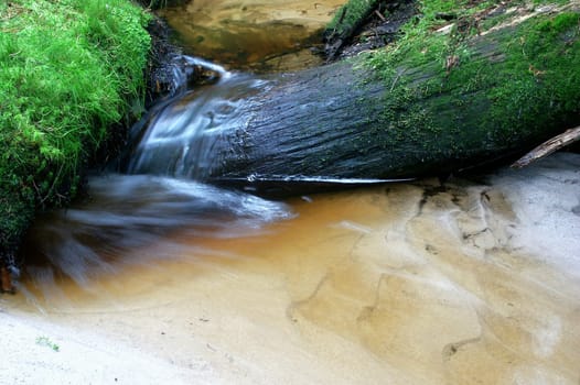 brook with trunk, moss and grass, horizontally framed shot