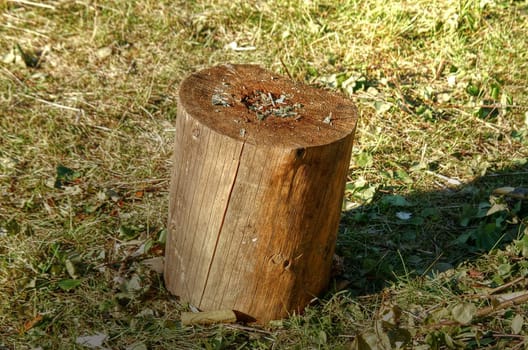 wooden block on the grass