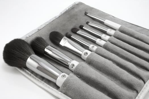 Makeup brushes, set of 8 with carry pouch, isolated on white