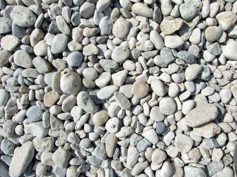 pebbles on the beach of the Black Sea1