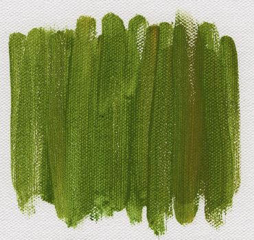 green watercolor abstract on white artist canvas, self made by photographer