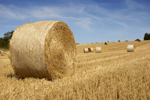 summer landscape with hay bales and deep blue skyscape